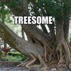 Treesom