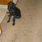 Tried Writing My Name