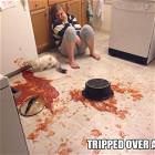 Tripped Over The Cat