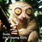 Tripping Balls