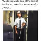 Trolling Pilot