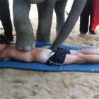 Trust Me Im A Doctor