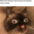 Trying To Catch