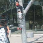 Tuct Tape Tree