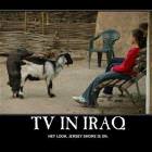 Tv In Iraq