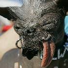 Ugly Dog