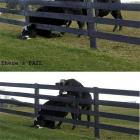 Ultra Fail