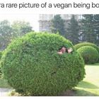 Ultra Rare