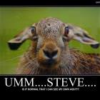 Umm Steve