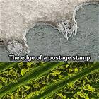 Under A Microscope