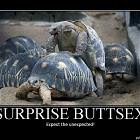 Unexpected