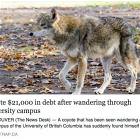 University Campus Debt