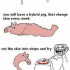 Unlimited Bacon