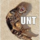 Unt