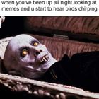 Up All Night
