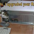 Upgraded Your Ram