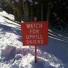 Uphill Skiers
