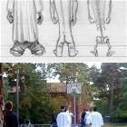Urban Thugs Anatomy