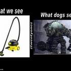 Us Vs Dogs