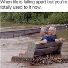 Used To It