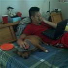 Useful Dog