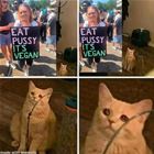 Vegan