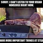 Vegan Nonsense