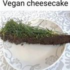 Vegan Stuff