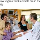 Vegans