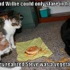 Vegetarian Cat