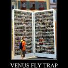 Venus Fly Trap
