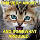 Very Angry