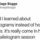 Very Happy I Turned Out Parallelograms
