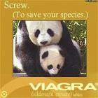 Viagra Ad