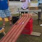 Vibrator Races