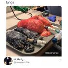 WTF GIFDUMP 13
