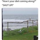 WTF   GIFDUMP   27