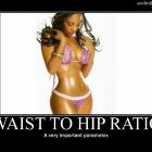 Waist To Hip Ratio