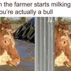 Wait A Second Well Ok