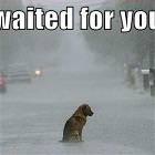 Waited For You