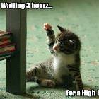 Waiting For A High 5