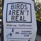 Wake Up