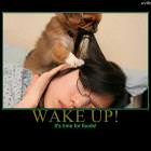 Wake Up Now