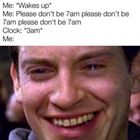 Wakes Up