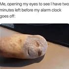 Waking Up