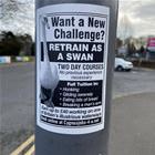 Want A Challenge