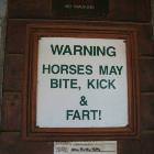 Warning About Horses