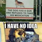 Warning About The Dog