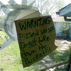 Warning Pissed Wasp