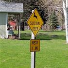 Watch Out Fot The Deer